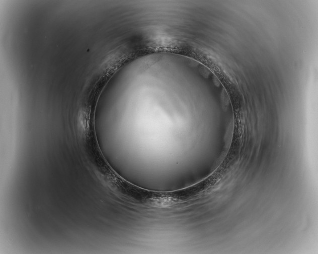 X0000093600695200710151221