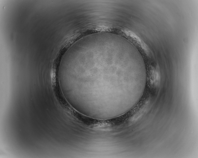 X0000093600696200710151221