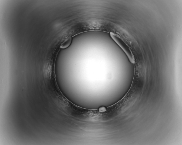X0000093600697200710151221