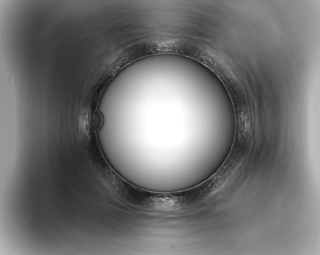 X0000093600698200710151221