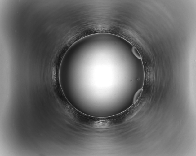 X0000093600700200710151221