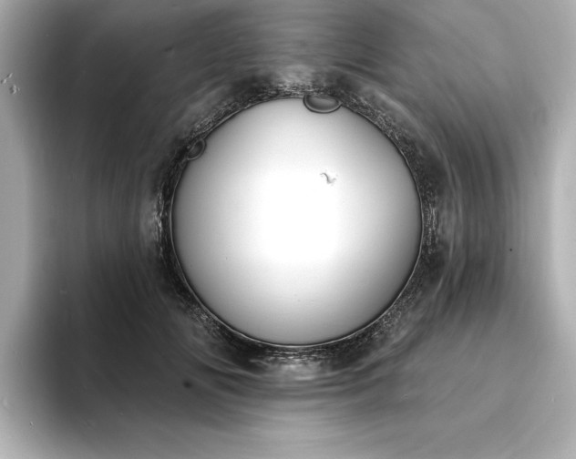 X0000093600702200710151221