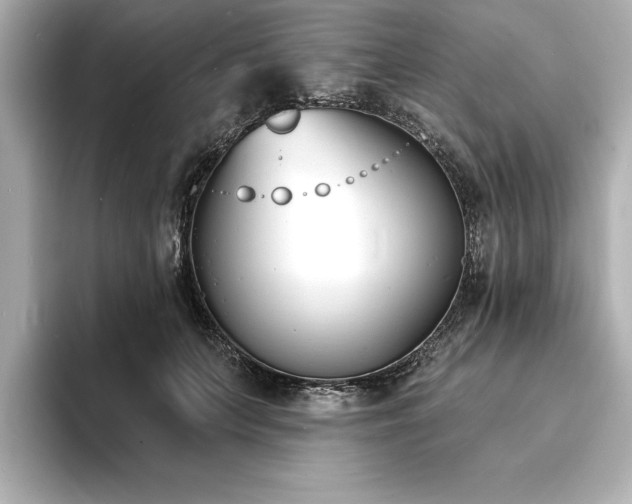 X0000093600703200710151221