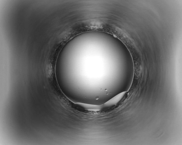 X0000093600704200710151221