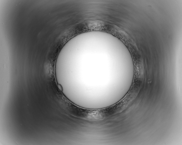 X0000093600705200710151221
