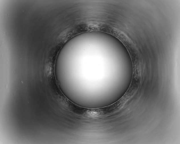 X0000093600706200710151221