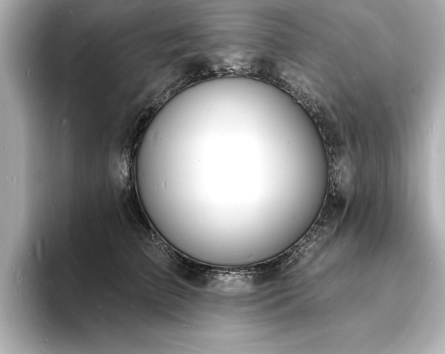 X0000093600709200710151221