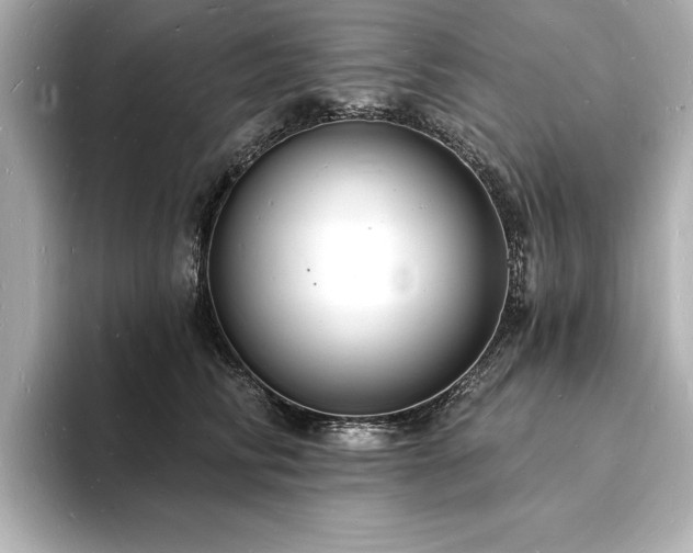 X0000093600710200710151221