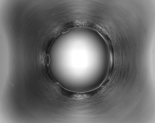 X0000093600712200710151221