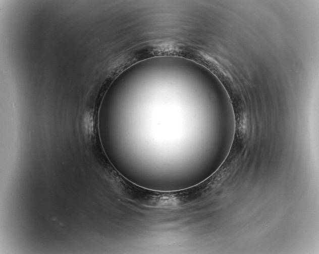 X0000093600715200710151221