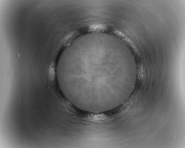 X0000093600716200710151221