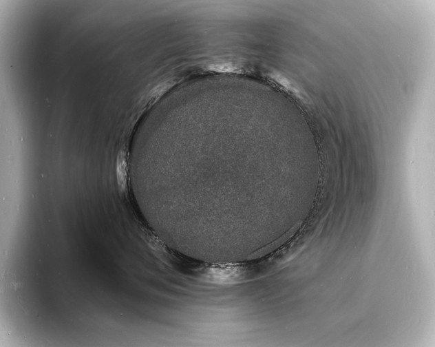 X0000093600720200710151221