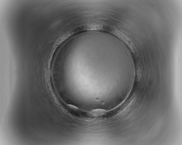 X0000093600721200710151220