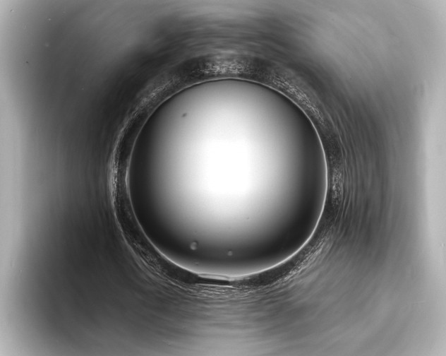 X0000093600722200710151220