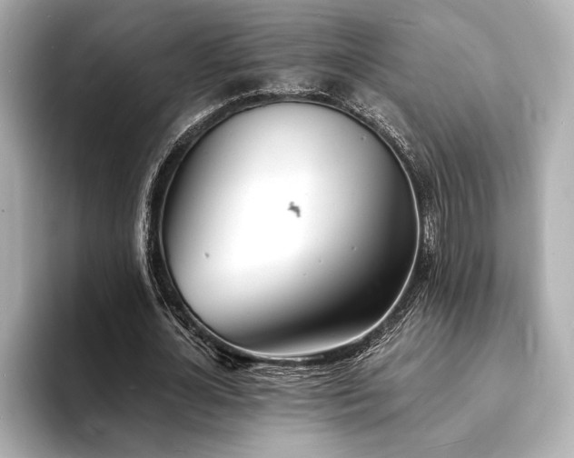 X0000093600724200710151220