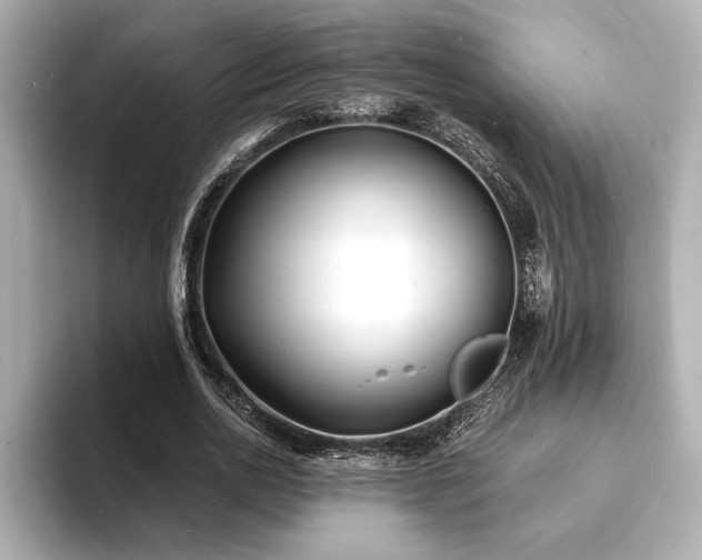X0000093600726200710151220