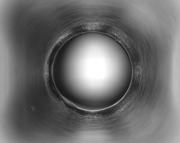X0000093600727200710151220