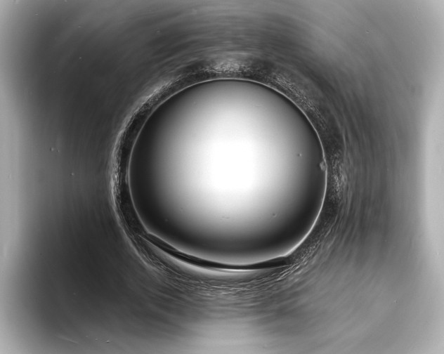 X0000093600728200710151220