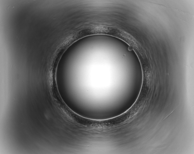X0000093600729200710151220