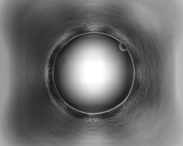 X0000093600730200710151220