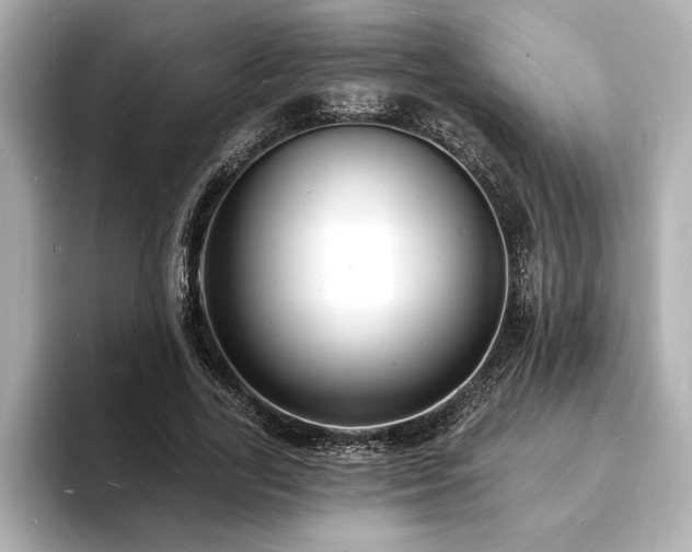 X0000093600731200710151220