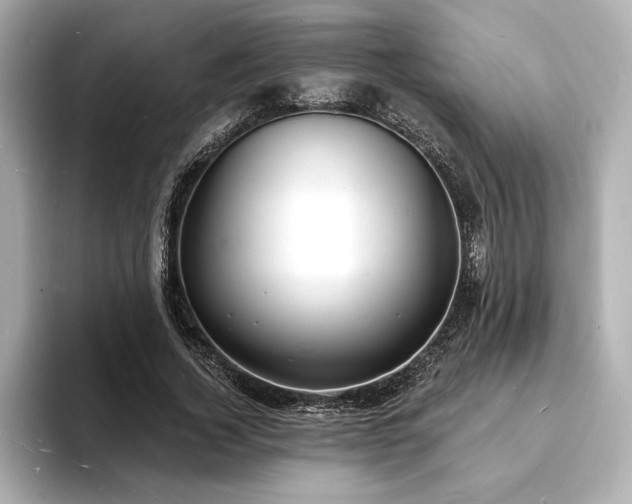 X0000093600732200710151220