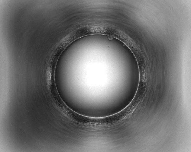 X0000093600733200710151220