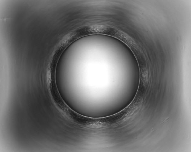 X0000093600734200710151220