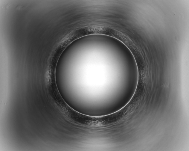 X0000093600735200710151220