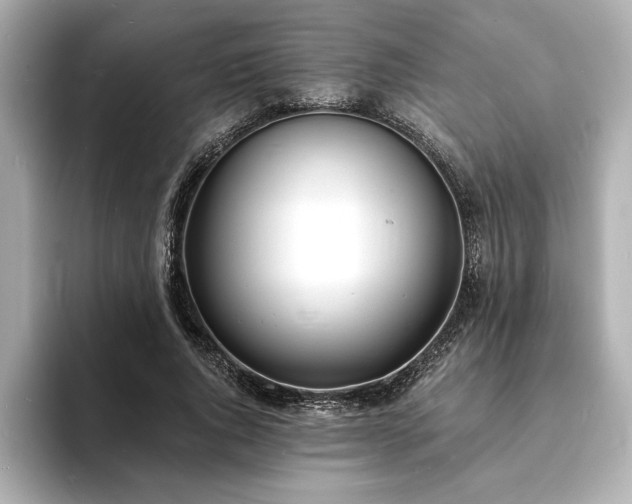 X0000093600736200710151220