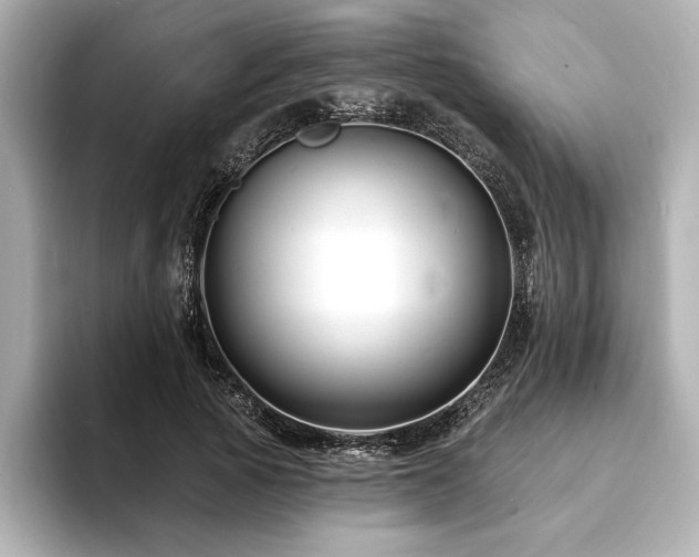 X0000093600737200710151220