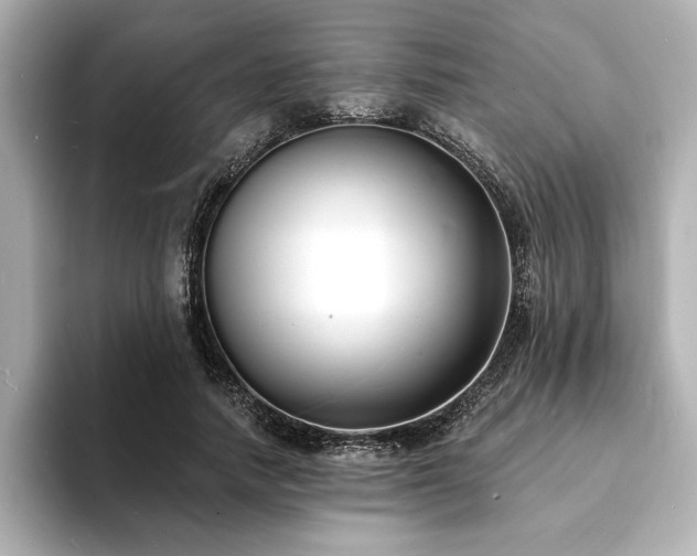 X0000093600738200710151220