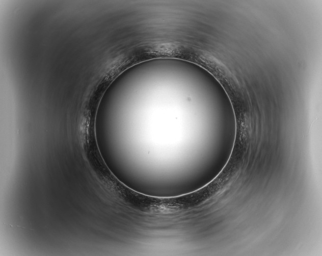 X0000093600739200710151220
