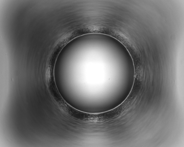 X0000093600740200710151220