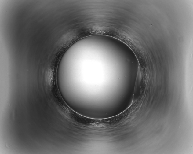 X0000093600742200710151220