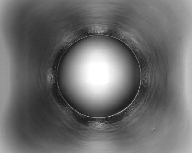 X0000093600743200710151220