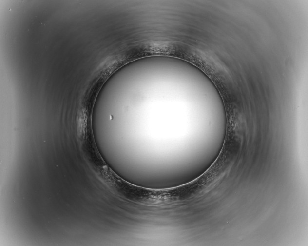 X0000093600744200710151220