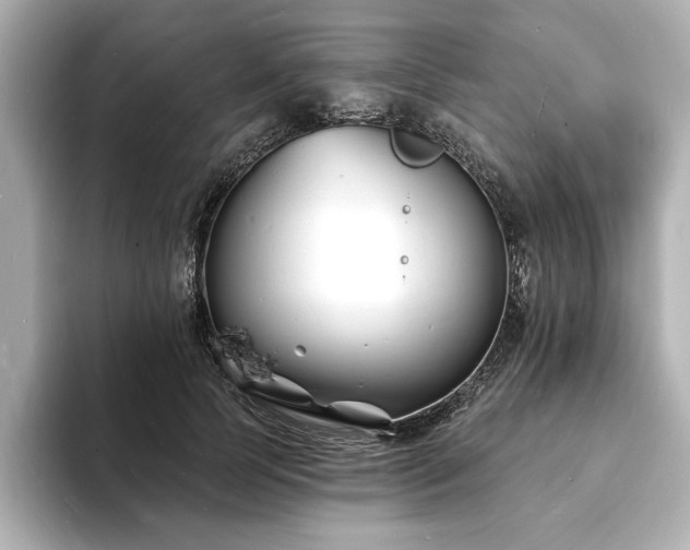 X0000093600745200710151220