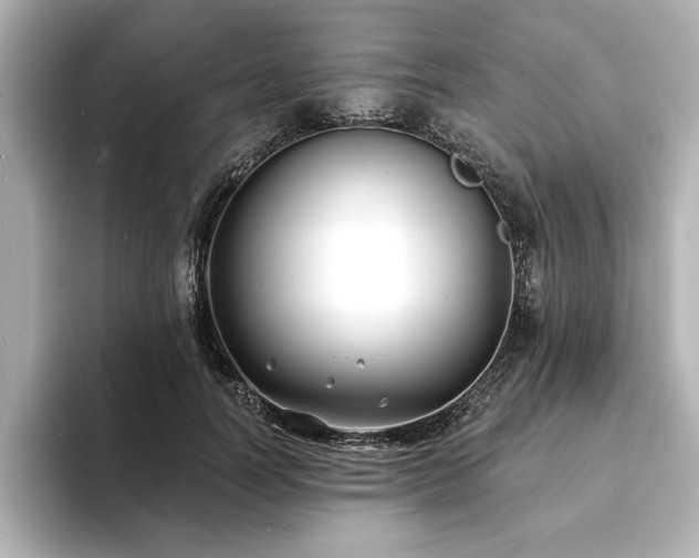 X0000093600746200710151220