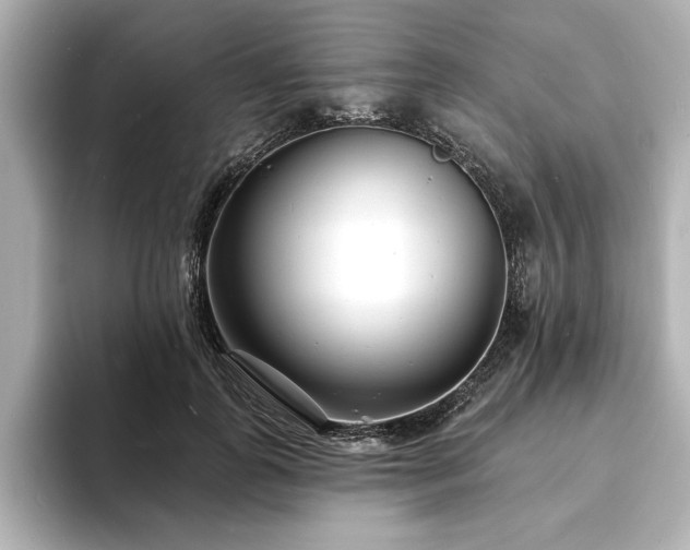 X0000093600747200710151220