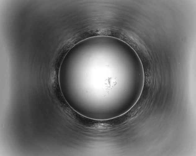 X0000093600748200710151220