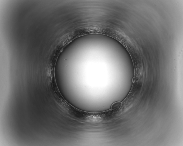 X0000093600749200710151220