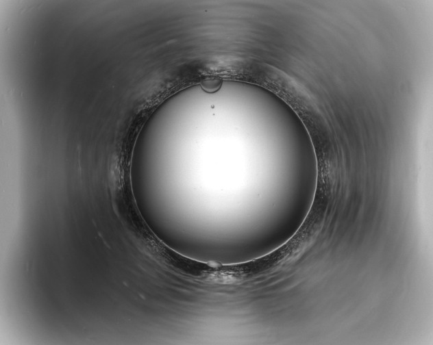 X0000093600751200710151220