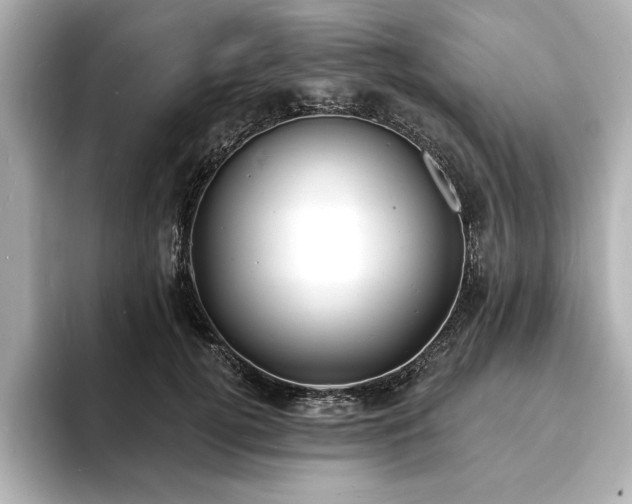 X0000093600752200710151221