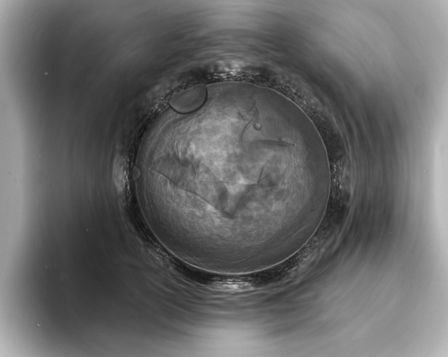 X0000093600754200710151221