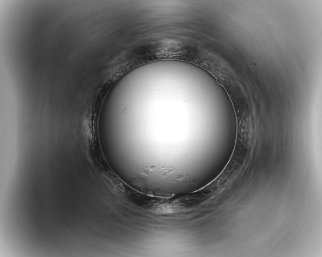 X0000093600755200710151221