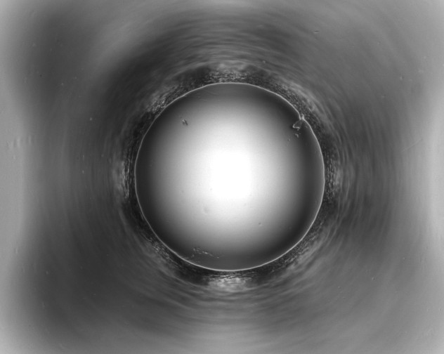 X0000093600759200710151221