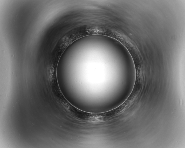X0000093600760200710151221