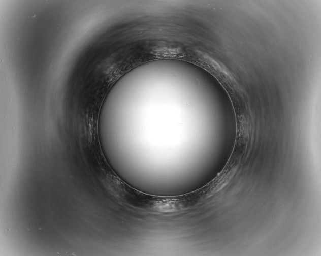 X0000093600761200710151221