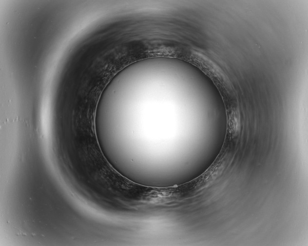X0000093600764200710151221